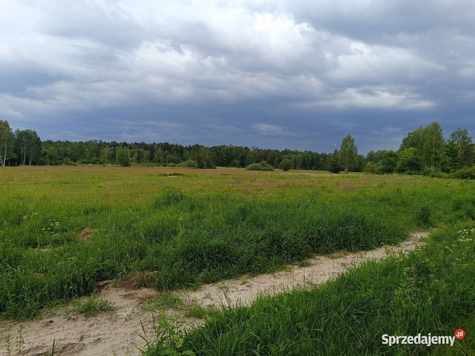 sprzedaży działki 1366m2 Daleszyce sprzedam