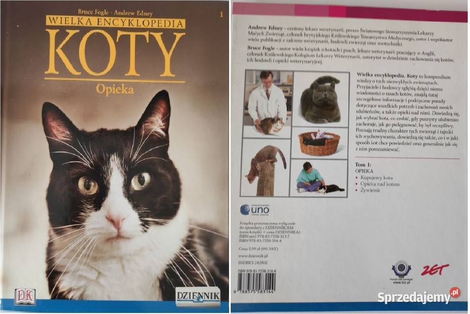 Koty Wielka Encyklopedia Axel Springer Polska świętokrzyskie Kielce
