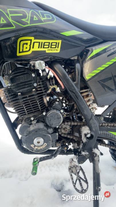 Alfarad 250 t7 Rok produkcji 2024 świętokrzyskie Górki Napękowskie