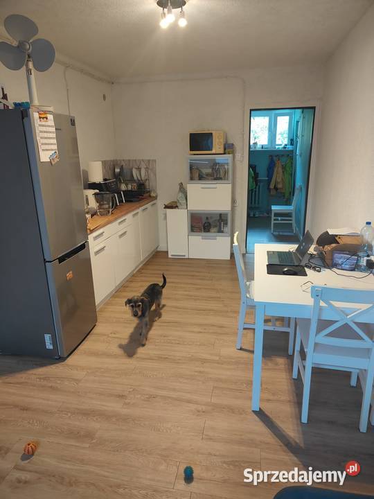 Mieszkanie na sprzedaż 3 piętra i więcej Wrocław