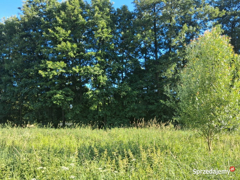 DZIAŁKA Z WARUNKAMI ZABUDOWY POD NOWYM TOMYŚLEM Stary Tomyśl