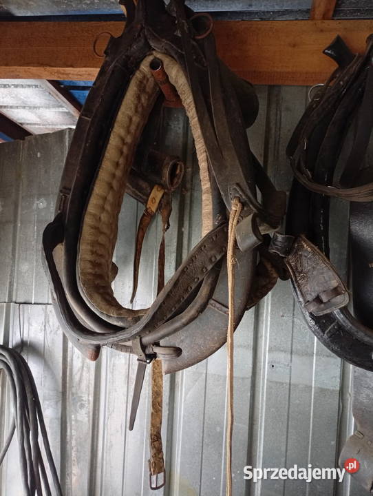 Sprzedam chomąto uprząż konia Gorzyce