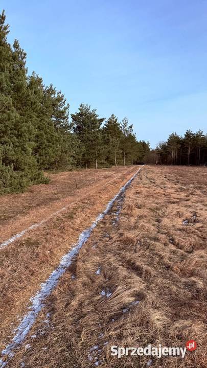 Działka budowlana RosochaKolonia Rosocha-Kolonia