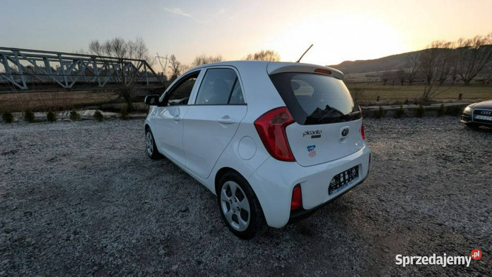 Kia Picanto Zadbane miejskie autko III 2017 tempomat Picanto Kamienna Góra