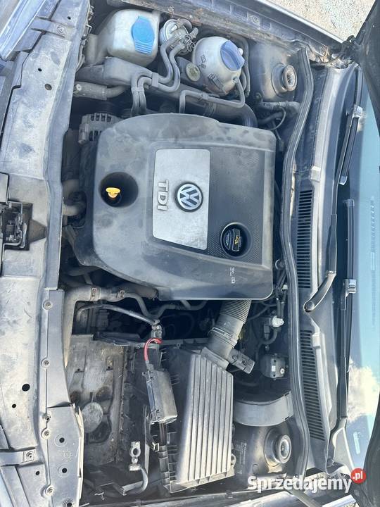 Dawca części VW GOLF IV 4HB 2000R 19 TDI 115