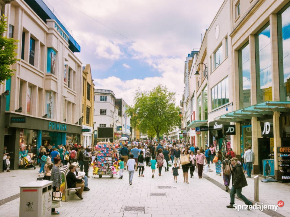 Lokal do wynajęcia 181 m2 Top Dostęp 24h Poznań