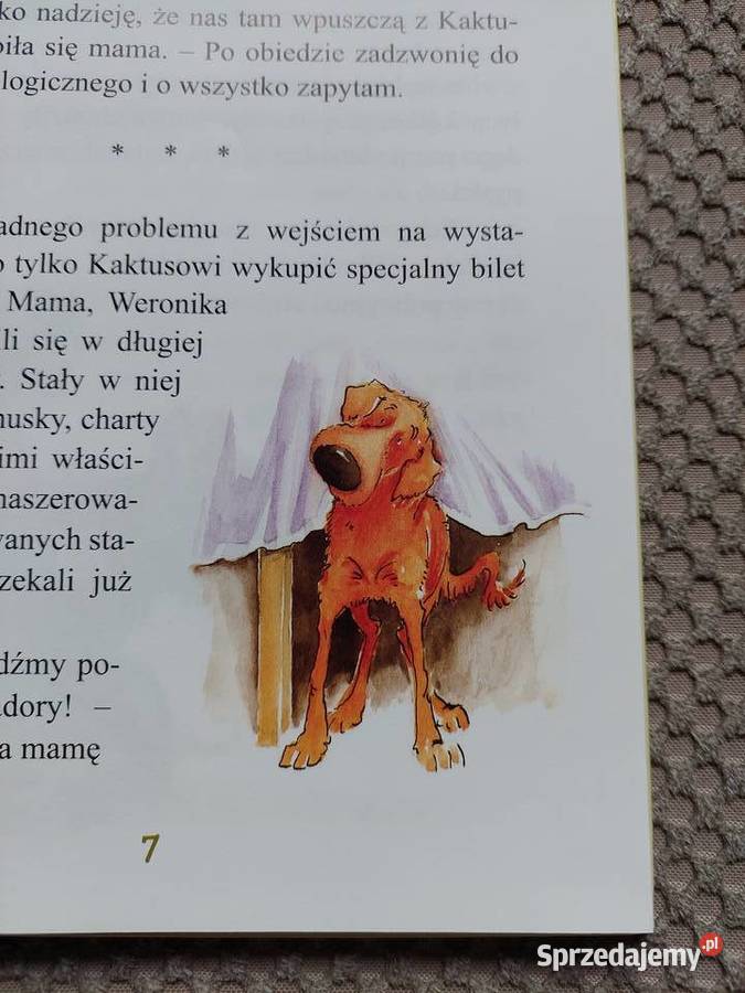 Kaktus szukaj Barbara Gawryluk małopolskie Kraków