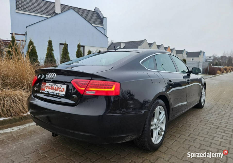 Audi A5 Sportback 1213r 177 Navi Zadbany Rata800 A5 wielkopolskie Śrem
