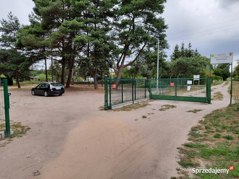 Działka ROD Złote Piaski Glinno k Nowego Tomyśla Nowy Tomyśl sprzedam
