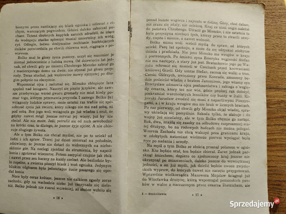 Bezkrólewie Karol Bunsch Kraków