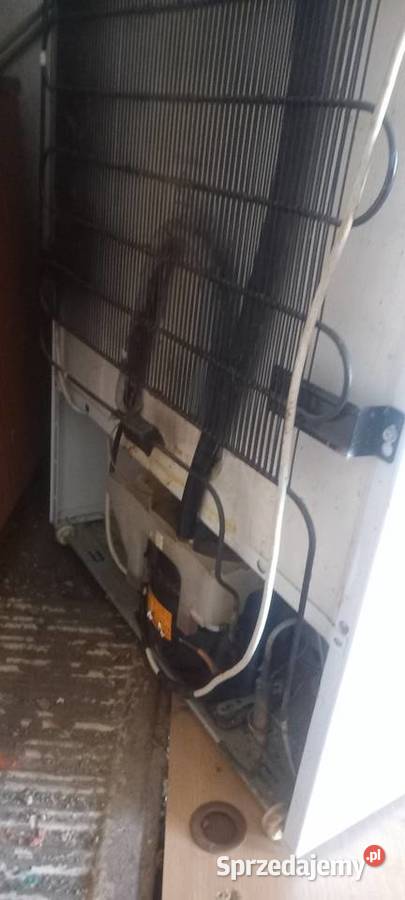 Lodówka Zanussi Łódź sprzedam