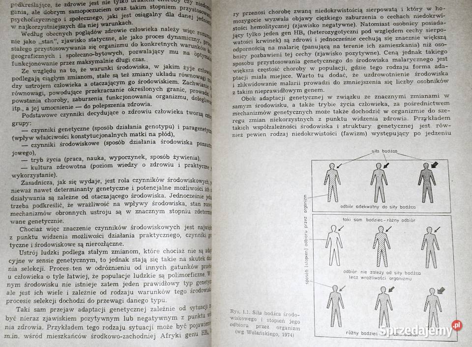 Biomedyczne podstawy rozwoju i wychowania N Chełm