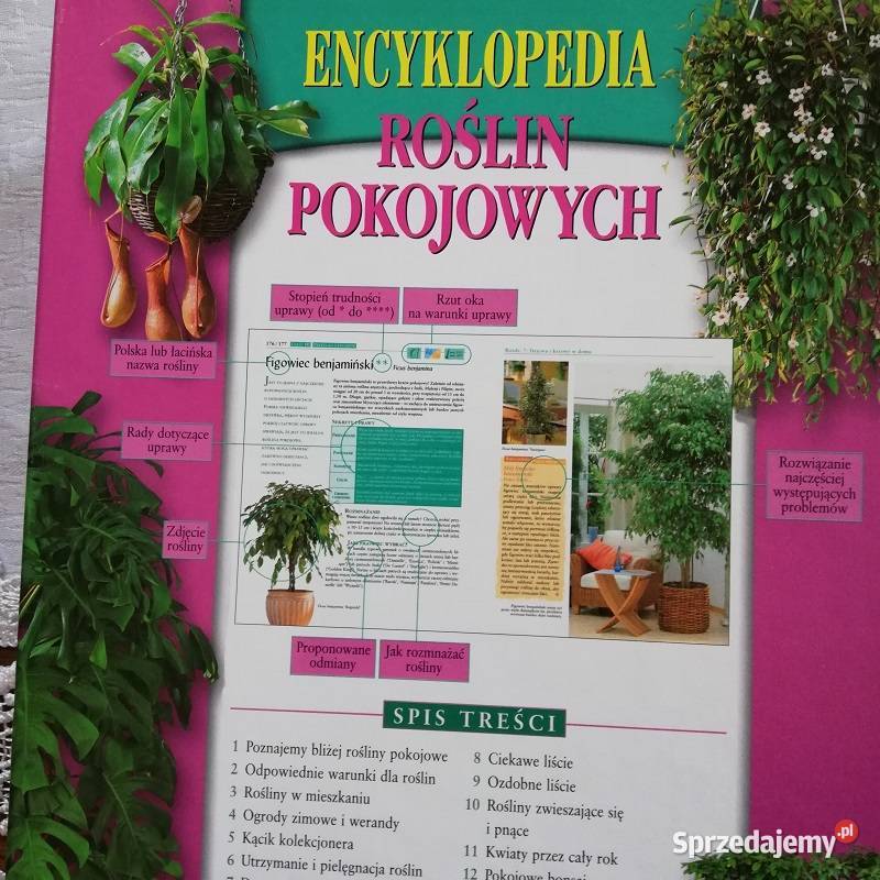 Encyklopedia roślin pokojowych 1000 cennych rad Sieradz