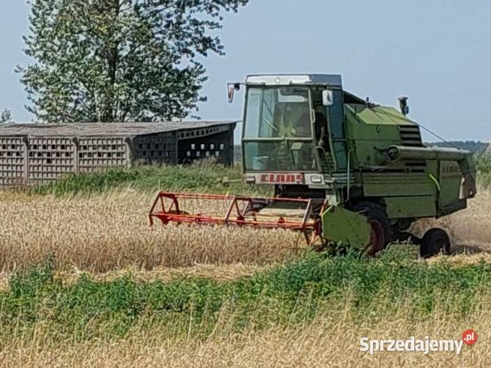 kombajn claas Boćki