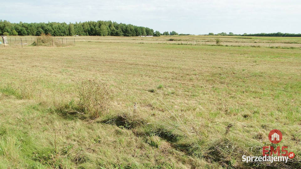 sprzedaży gruntu 1500m2 Hołówki Duże