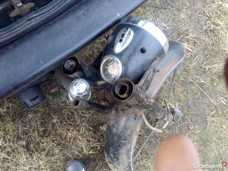 spszeda pszud wsk wfm Międzychód