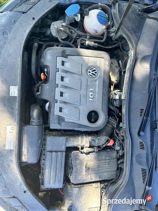 Passat B7 pomorskie Jasna