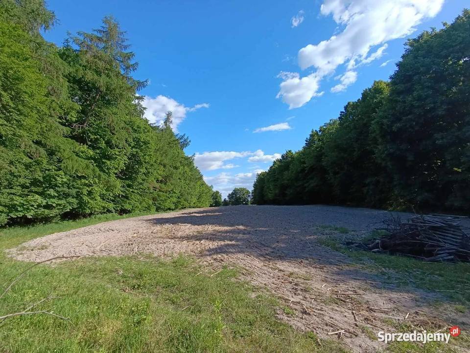 Sprzedam dom lesie lubelskie