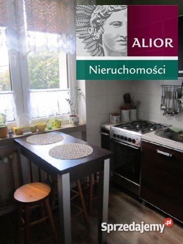 mieszkanie 4970m2 2 pokoje Chorzów Piętro 1 Chorzów
