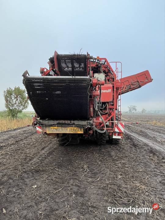 Dewulf RA3060 Toruń