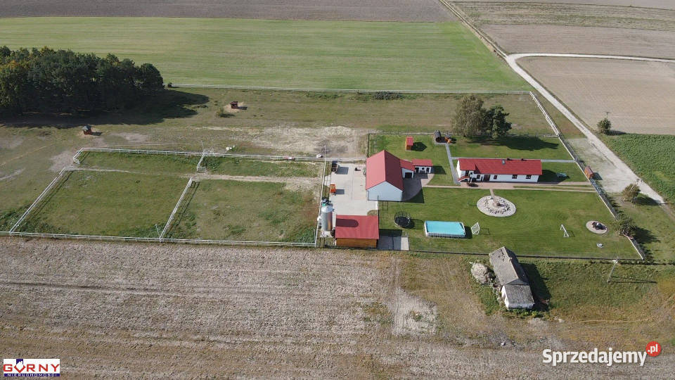 sprzedaży lokalu Marianek 21000m2
