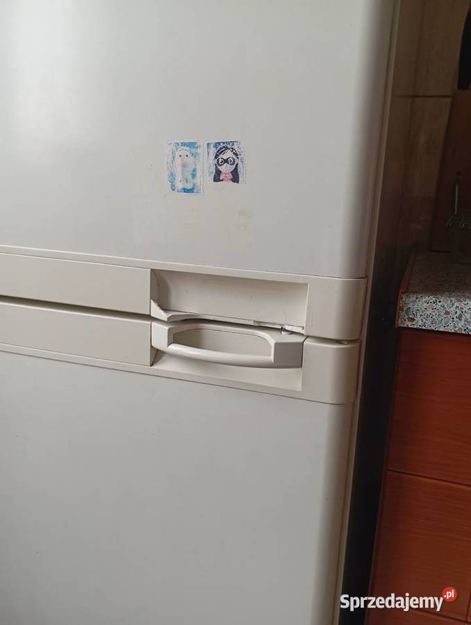 Lodówko zamrażarka Bosh Duo system Terespol