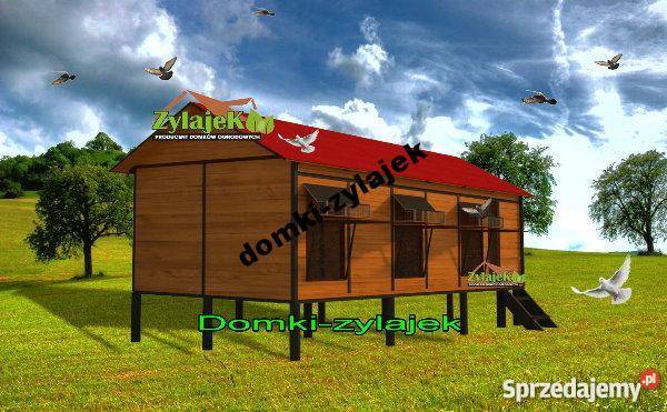 Gołębniki gołębnik cele wloty siodełka prosto Pozostałe Korczyna