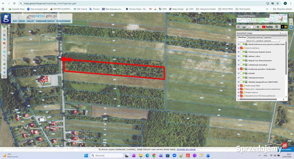 Dzierżawa 110 ha ziemi rolnej Włodowice powiat śląskie