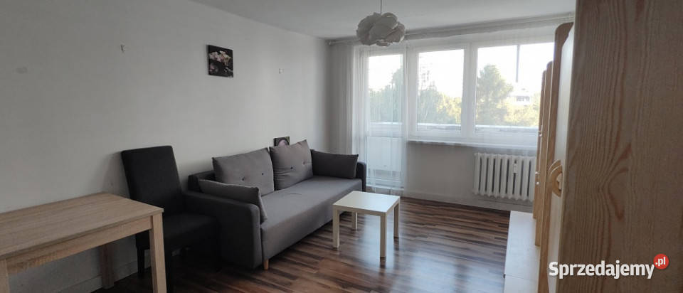 Do wynajęcia mieszkanie 2 pokoje z balkonem 49m2 49m2 śląskie Katowice