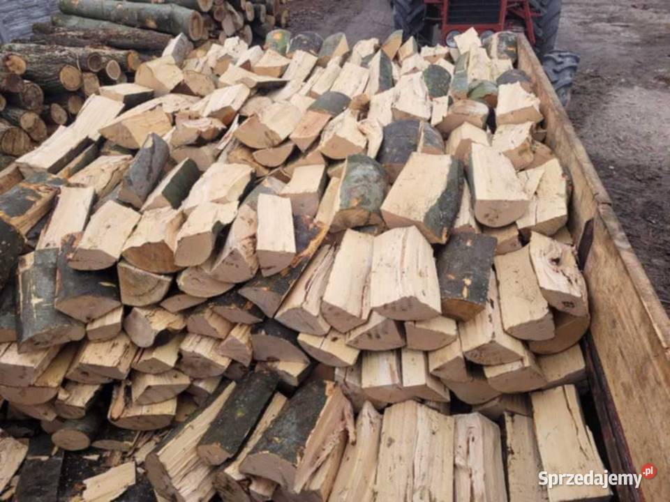 Drewno opałowe i kominkowe Dąb Buk Grab Brzoza Kłodawa