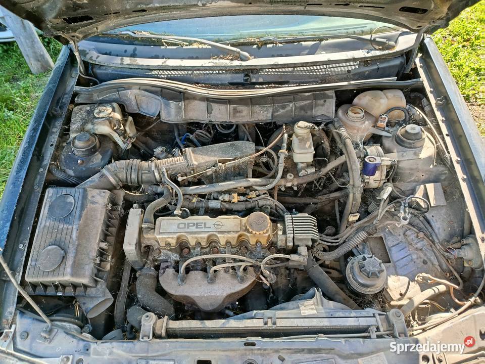 Opel Astra 16 2001 r dawca części Rok produkcji 2001 Samochody na części Szklarka Myślniewska