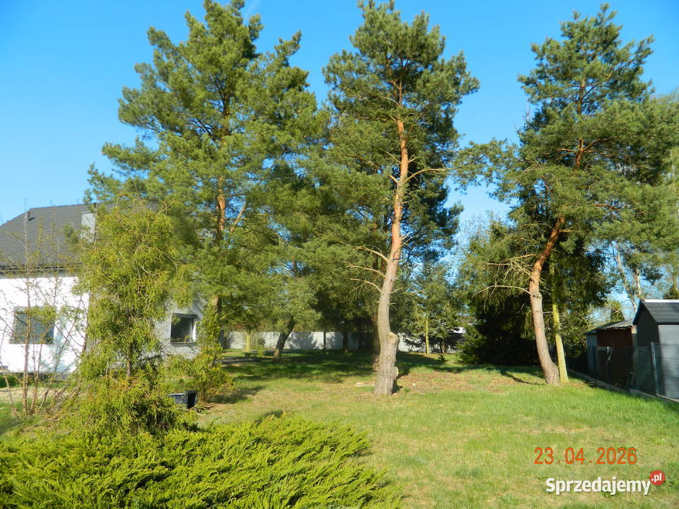 Dom 85 mkw Działka 1719 mkw Krępsko gm Goleniów