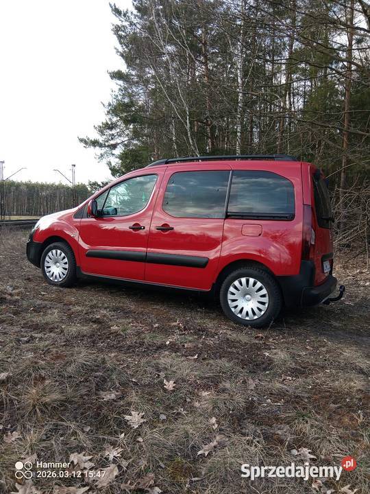 Sprzedam Peugeot autoalarm Babiak sprzedam