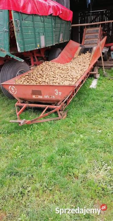 Sortownik rolkowy do ziemniaków cebuli itp Gogolin