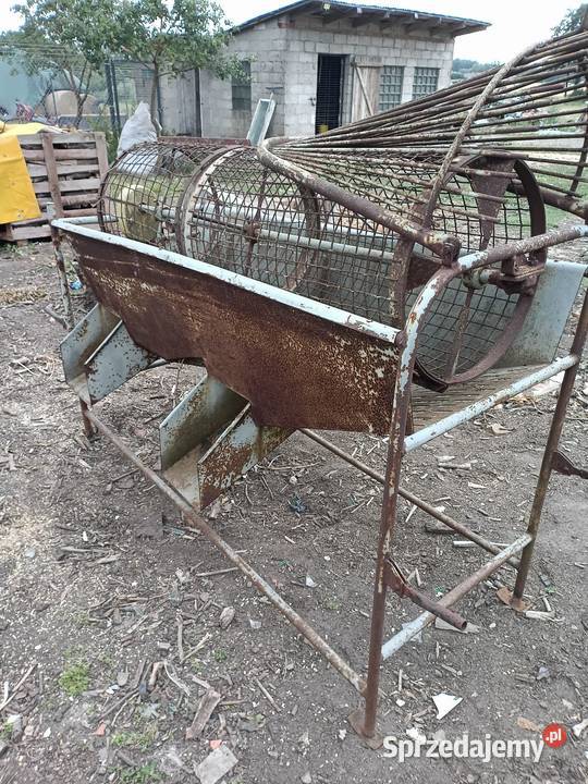 Sortownik do ziemniaków Wadlew sprzedam