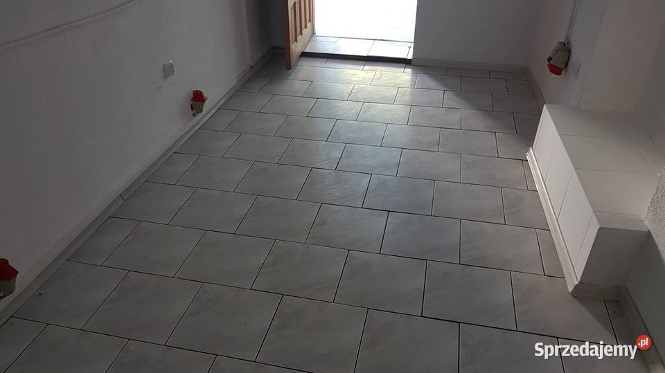 Wynajmę lokal w Głuchołazy Powstańców Śląskich 2