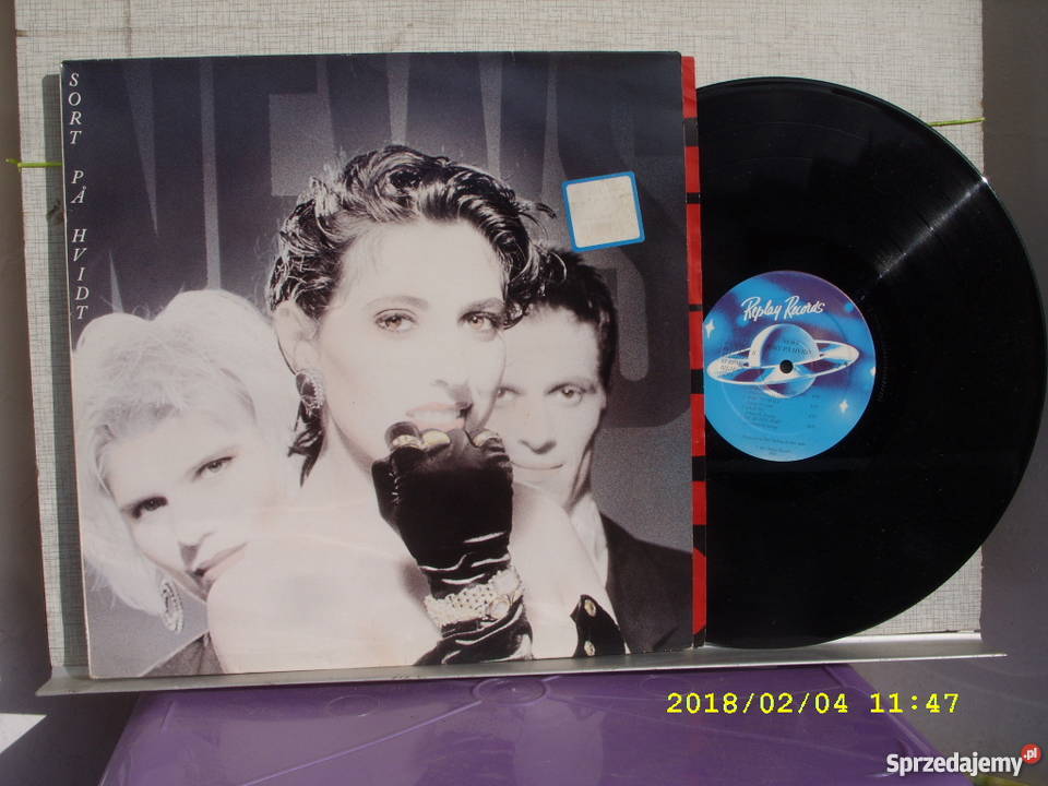 Rock LP SORT PA HVIDT Wołów