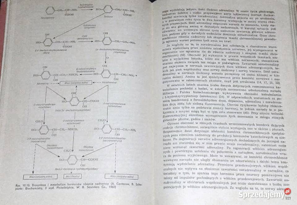 Endokrynologia ogólna C Donnell Turner Joseph T lubelskie Chełm