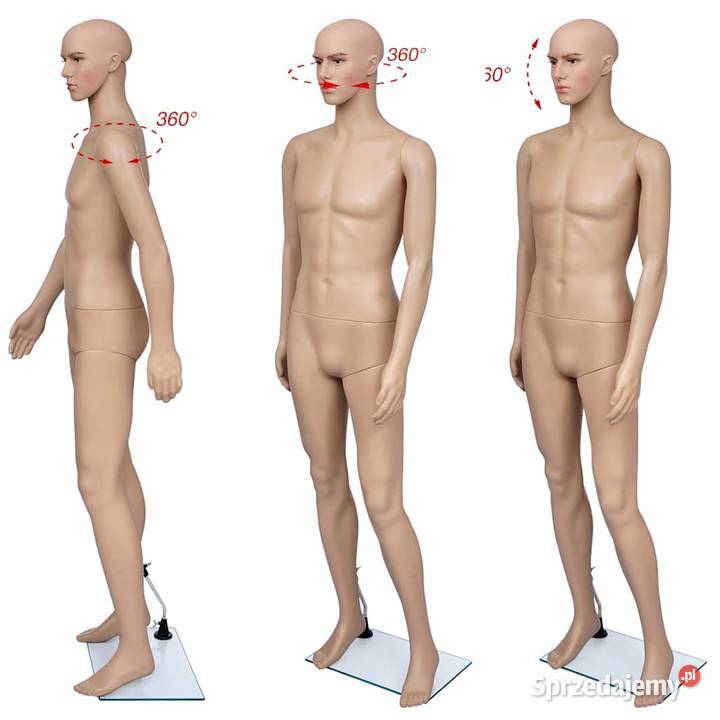 Manekin męski 187 lubuskie Wschowa sprzedam