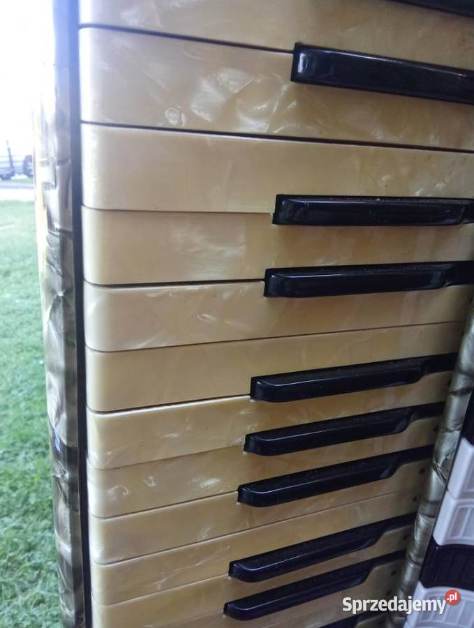 Akordeon Solo 120 basów stan idealny Niemcy Z Grójec