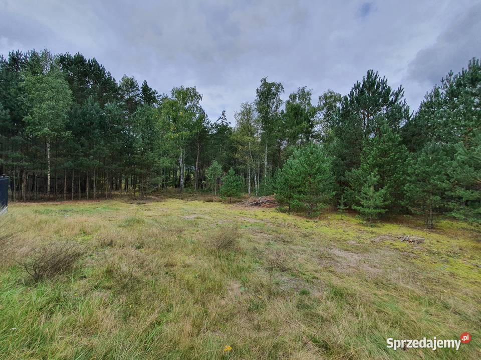 WŁASNY LAS I DOM 260 M 62 HA PRYWATNEJ pomorskie Tuszkowy