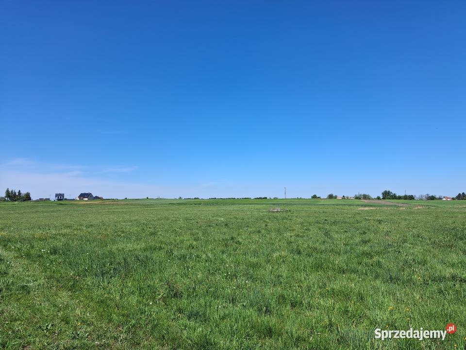 Prywatnie 1ha Opole Grudzice 4 do Centrum opolskie