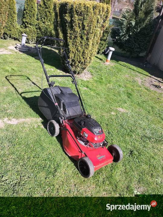 Kosiarka spalinowa Kosiarki spalinowe Krupe