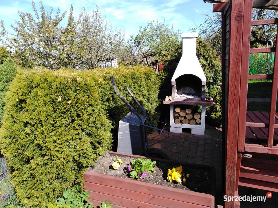 SPRZEDAM DZIAŁKĘ OGRODOWĄ ROD OLECKO warmińsko-mazurskie