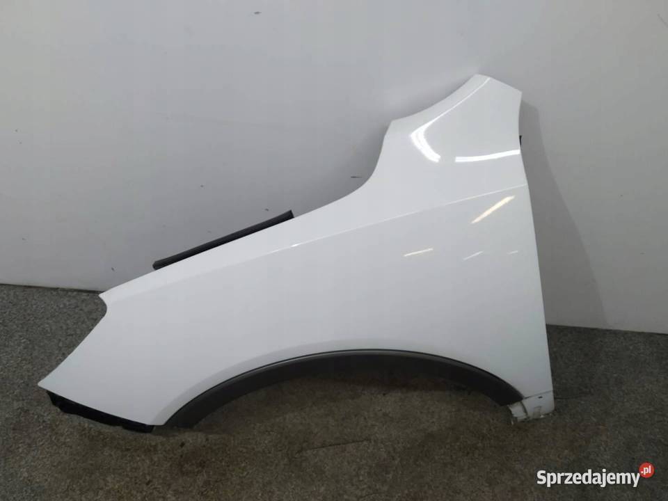 BŁOTNIK LEWY PRZÓD 3M Hyundai ix55 I 20062011