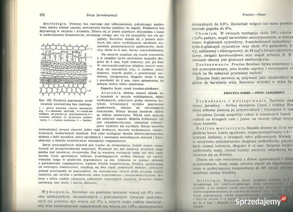 Zarys farmakognozji BBorkowski 1970 Łódź