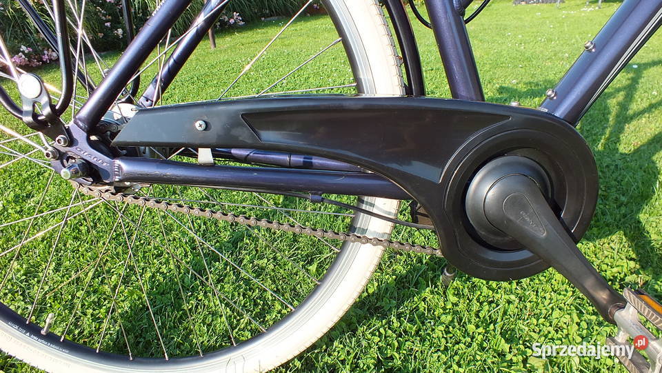Fajny Niemiecki Rower GIANT LIGERO Shimano NEXUS małopolskie Liszki sprzedam