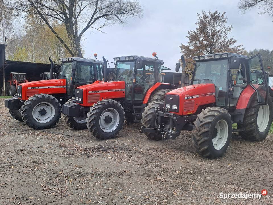 Massey Ferguson 6260 6270 lubelskie Chełm