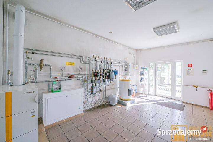 Lokal na wynajem Opole Cygana 720m2