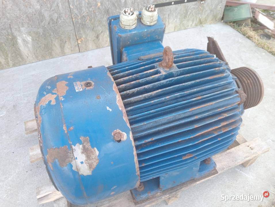 Silnik 55 kw Kochanowo